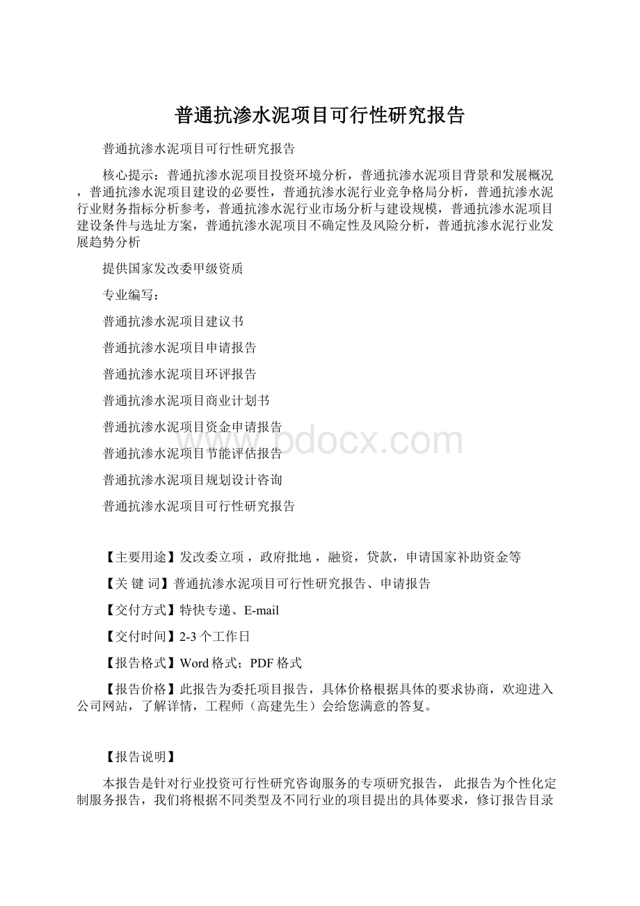 普通抗渗水泥项目可行性研究报告Word格式.docx