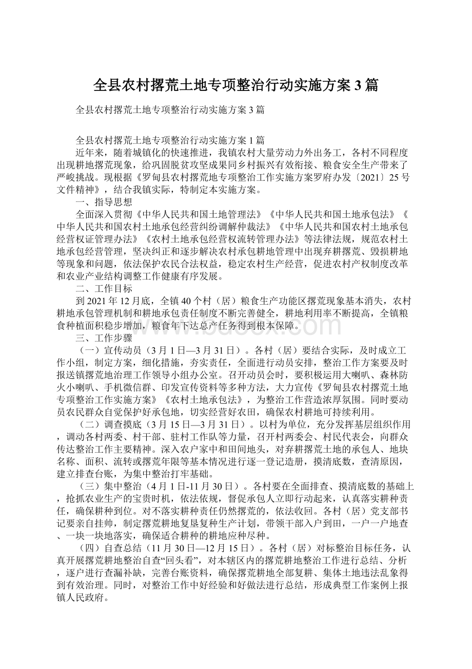 全县农村撂荒土地专项整治行动实施方案3篇.docx