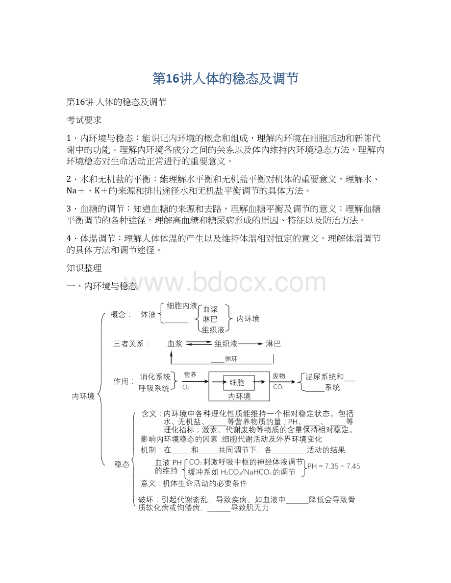 第16讲人体的稳态及调节.docx