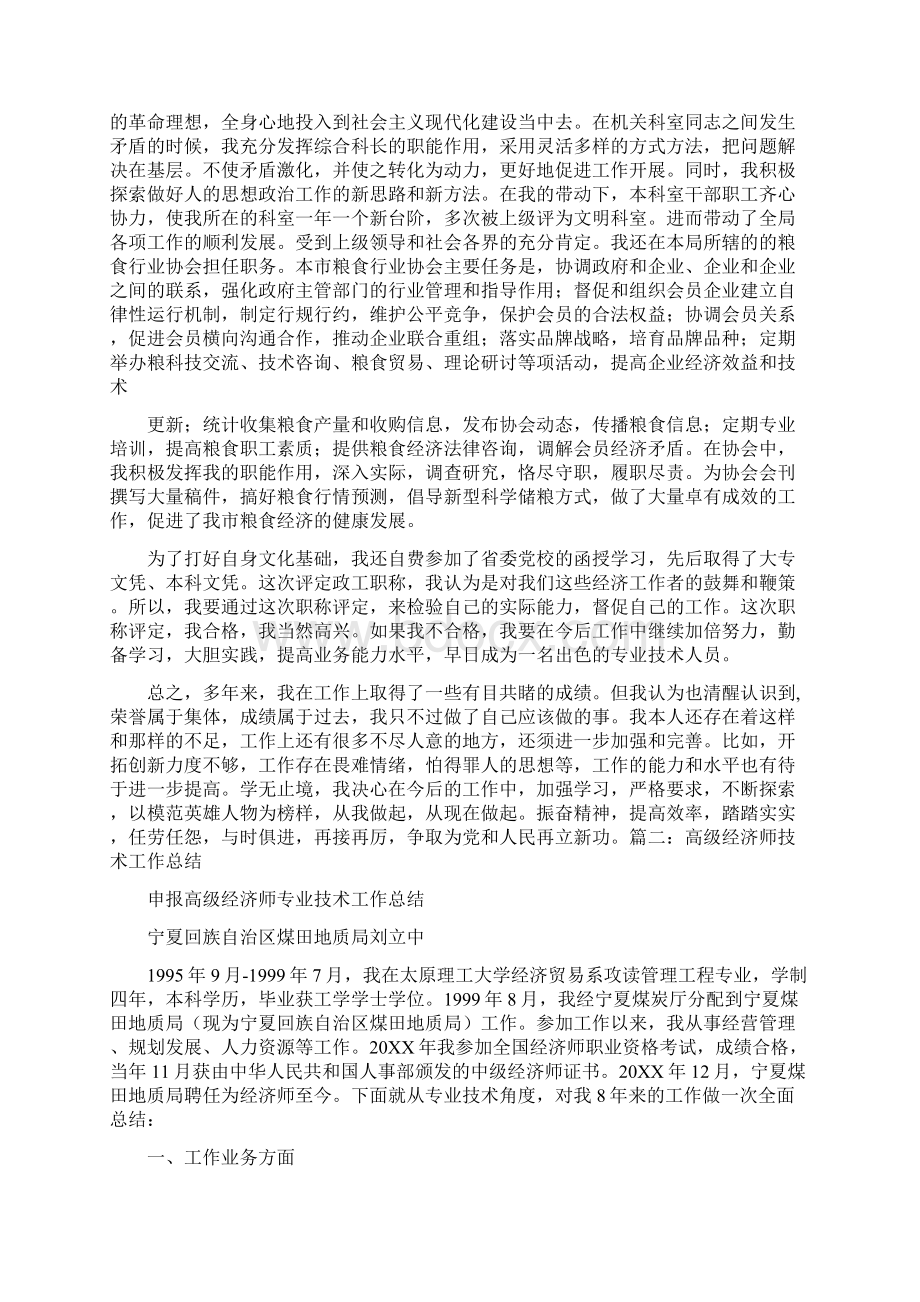 申报高级经济师专业技术工作总结文档格式.docx_第2页