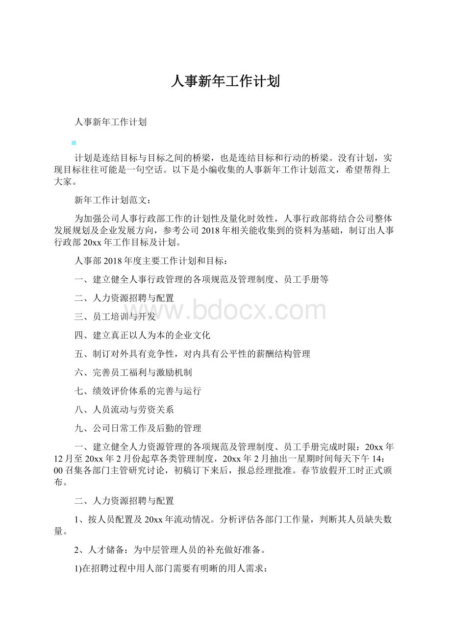 人事新年工作计划.docx