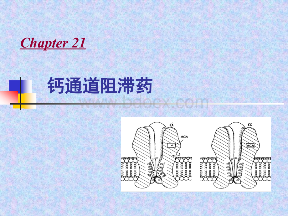 钙通道阻滞药-刘明华_精品文档.ppt_第1页