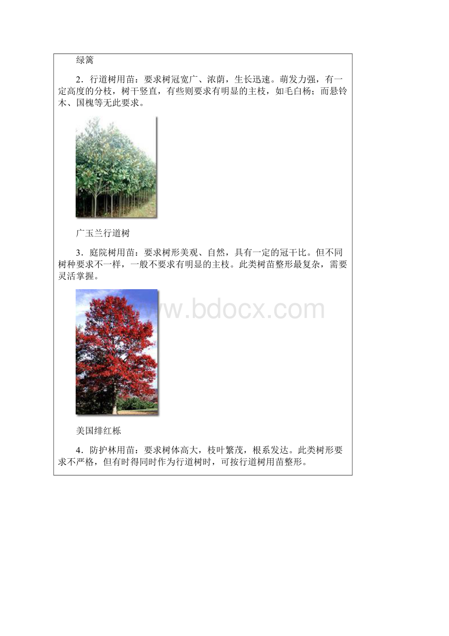 园林植物的整形修剪技术Word文件下载.docx_第3页