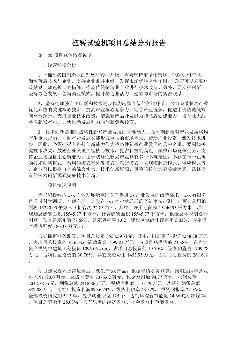 扭转试验机项目总结分析报告Word格式.docx