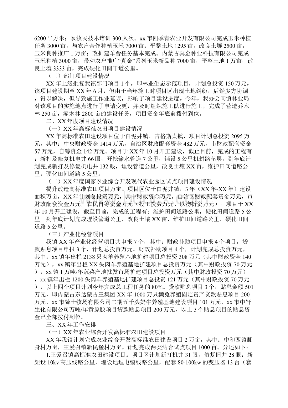 农综办年度工作总结和工作安排.docx_第2页