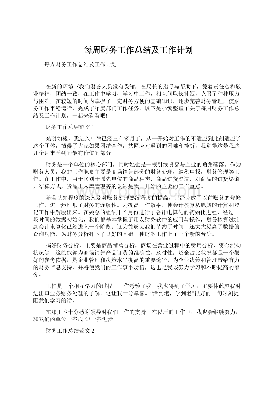 每周财务工作总结及工作计划.docx