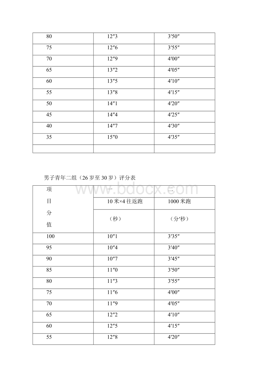 体能测试评分标准Word文档下载推荐.docx_第3页