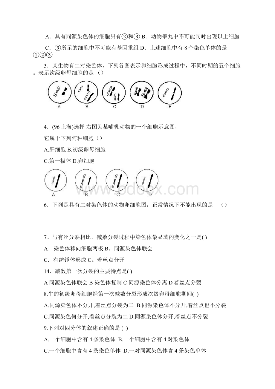 高中生物第二章基因与染色体的关系.docx_第2页