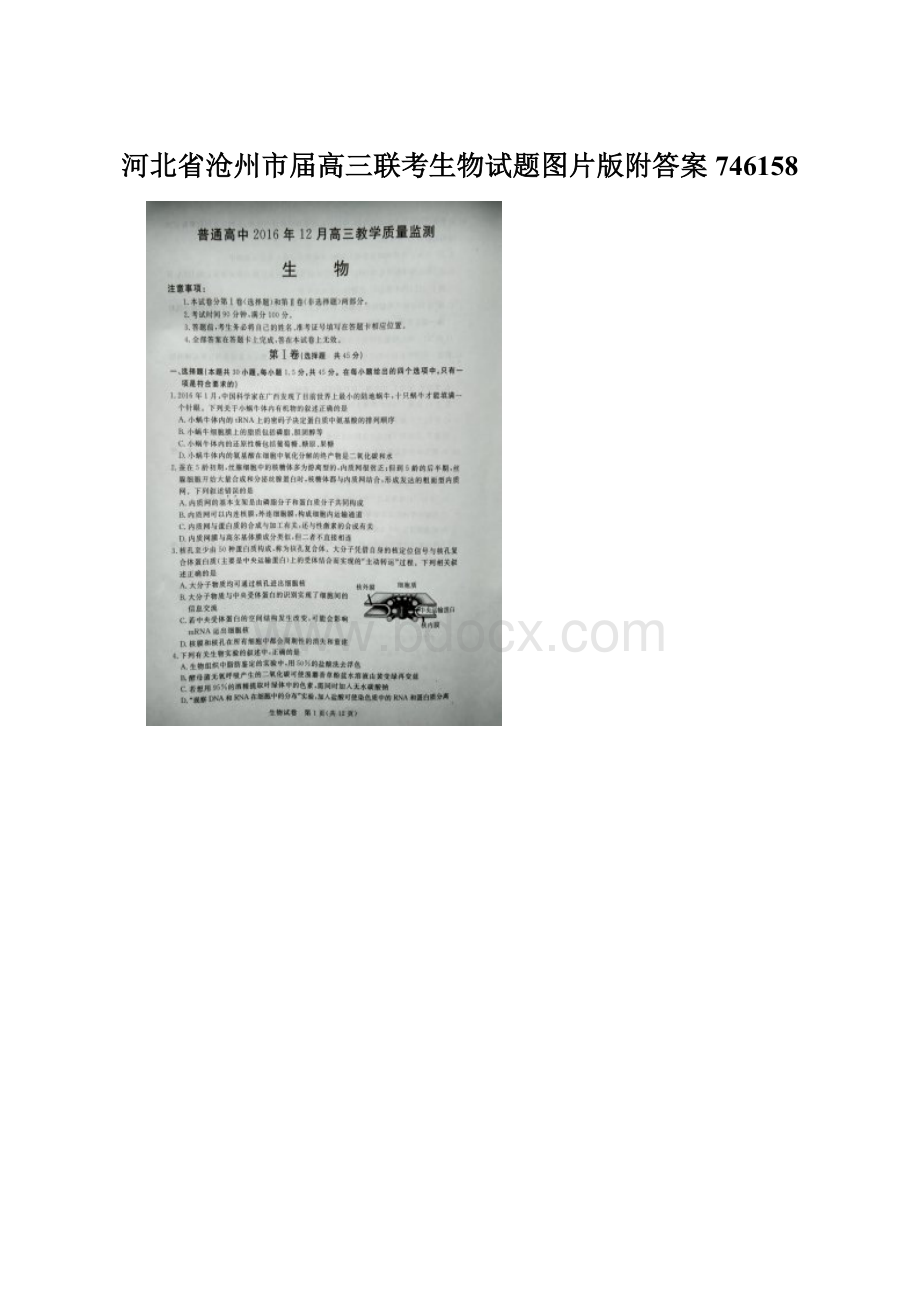 河北省沧州市届高三联考生物试题图片版附答案746158.docx