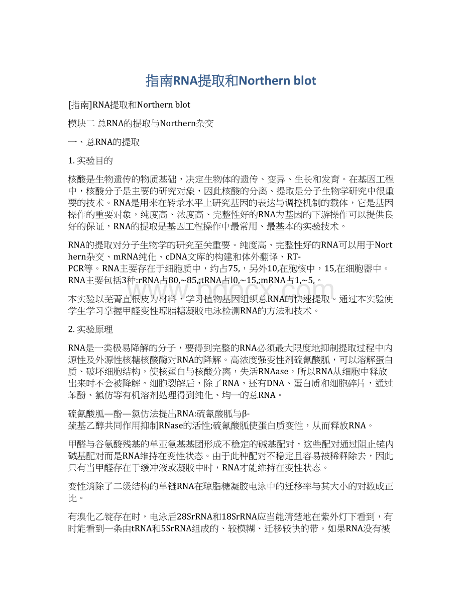 指南RNA提取和Northern blotWord文档格式.docx