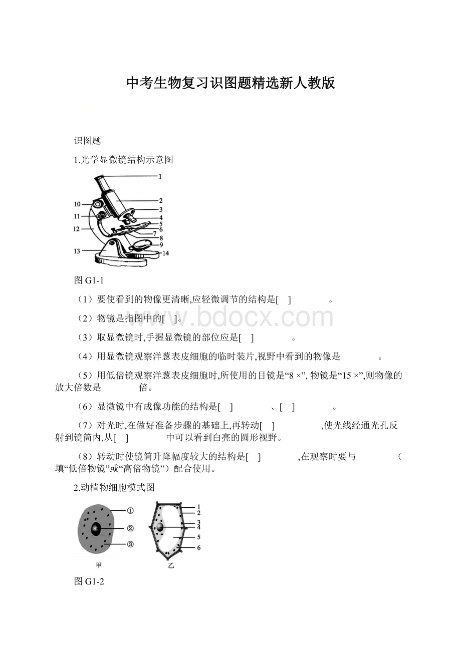 中考生物复习识图题精选新人教版.docx