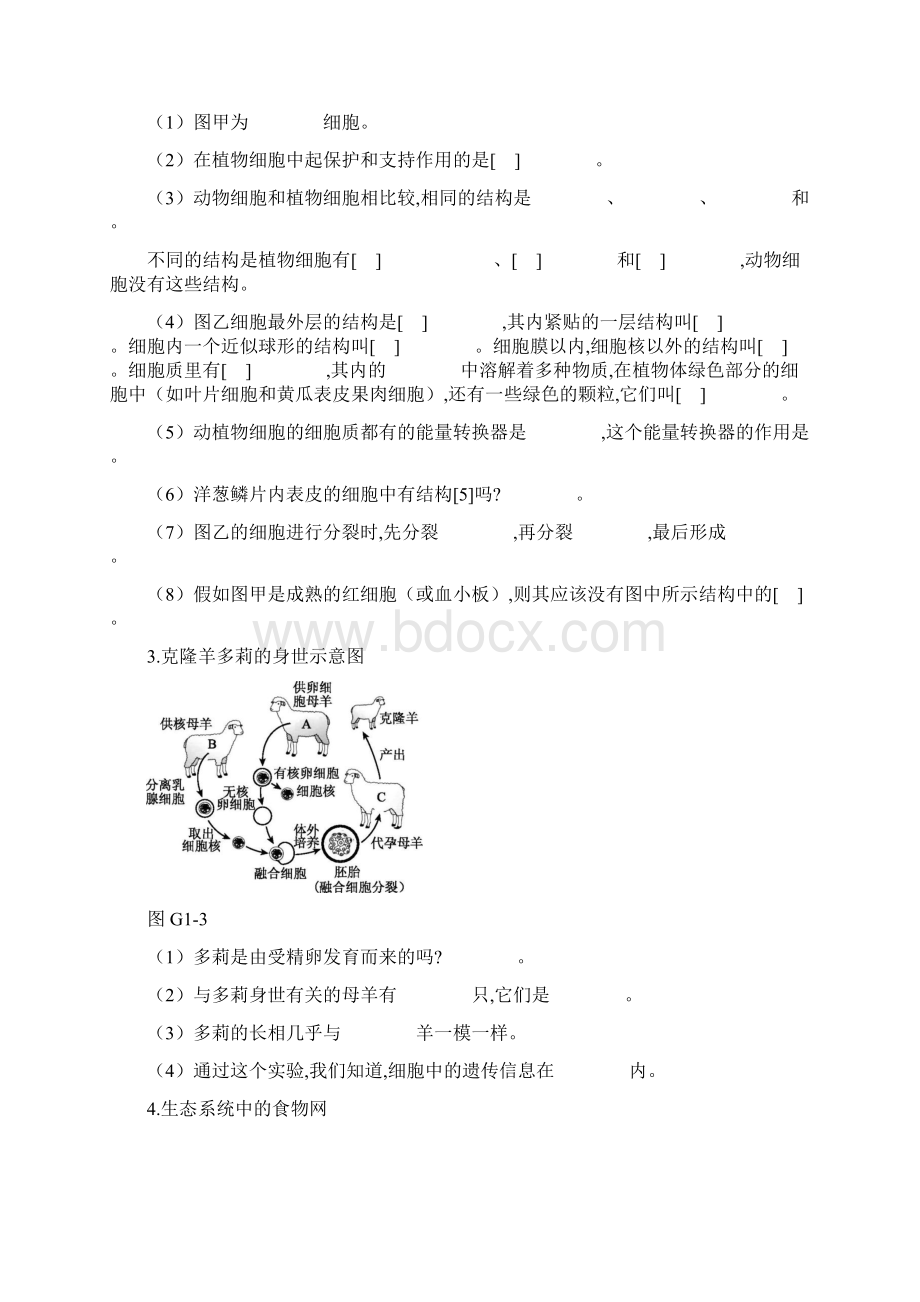 中考生物复习识图题精选新人教版Word文件下载.docx_第2页