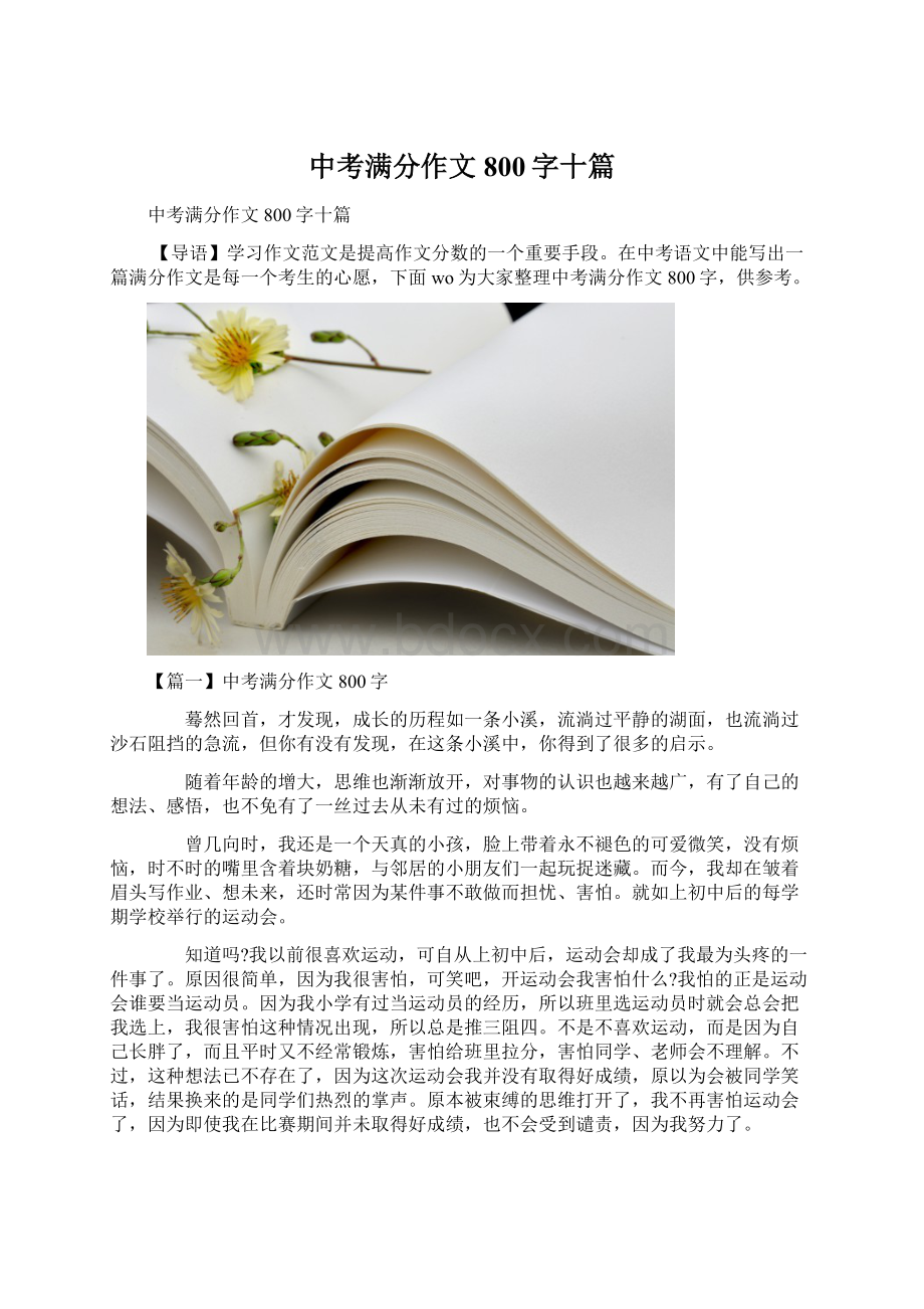 中考满分作文800字十篇.docx_第1页