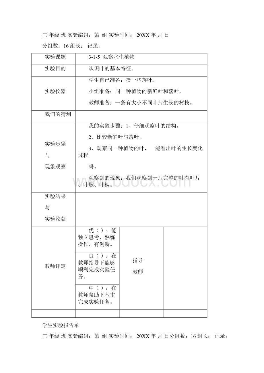 教科版三年级上册科学学生实验报告.docx_第3页