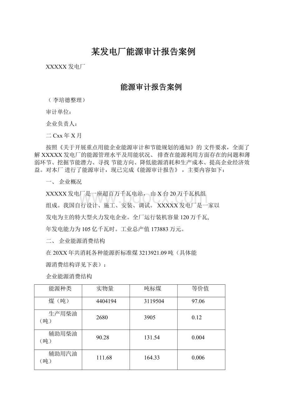 某发电厂能源审计报告案例文档格式.docx_第1页