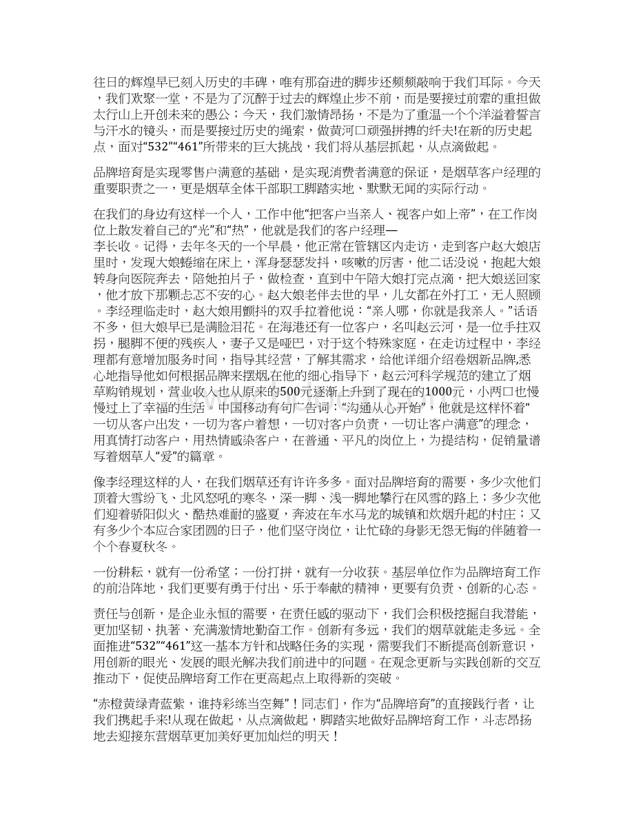 关于品牌培育的演讲稿多篇范文Word格式文档下载.docx_第3页