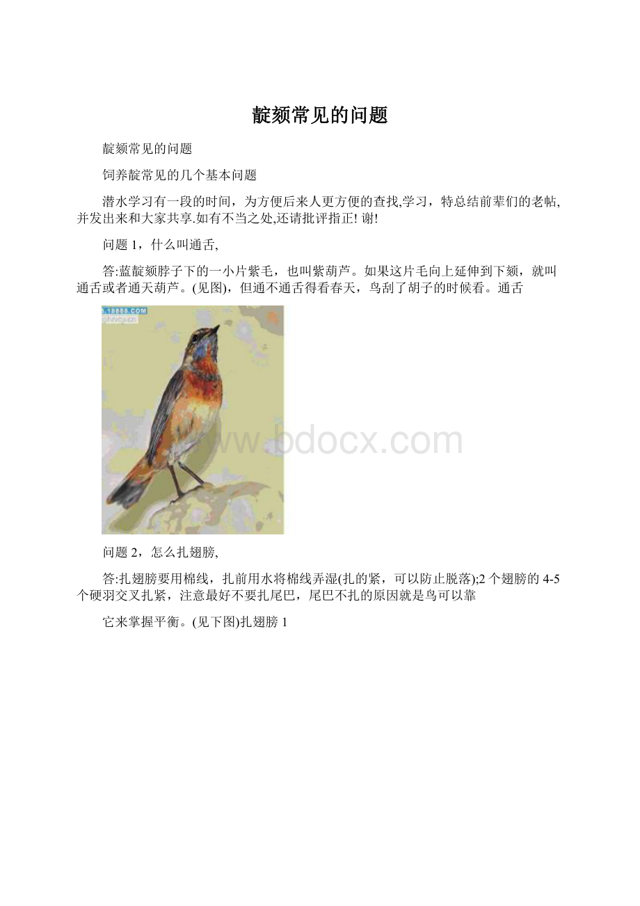 靛颏常见的问题.docx