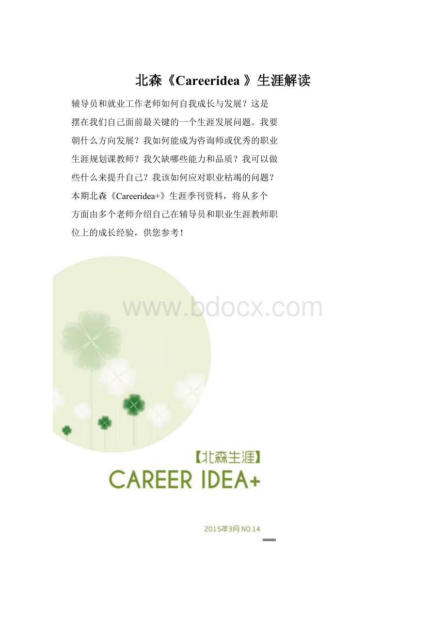 北森《Careeridea 》生涯解读.docx_第1页