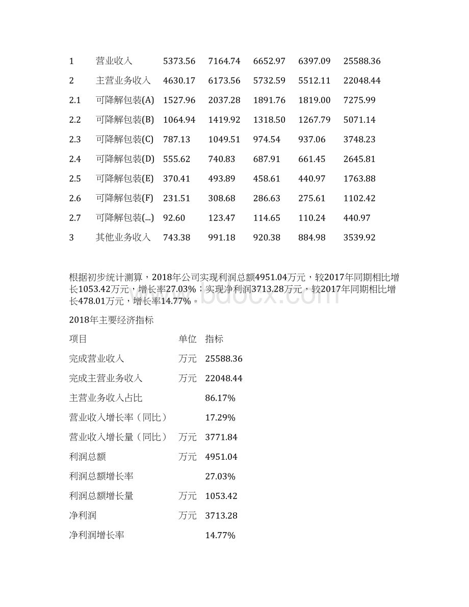 可降解包装项目年度预算报告Word格式.docx_第2页