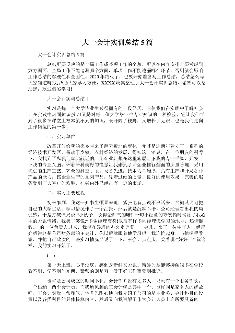 大一会计实训总结5篇Word格式.docx_第1页