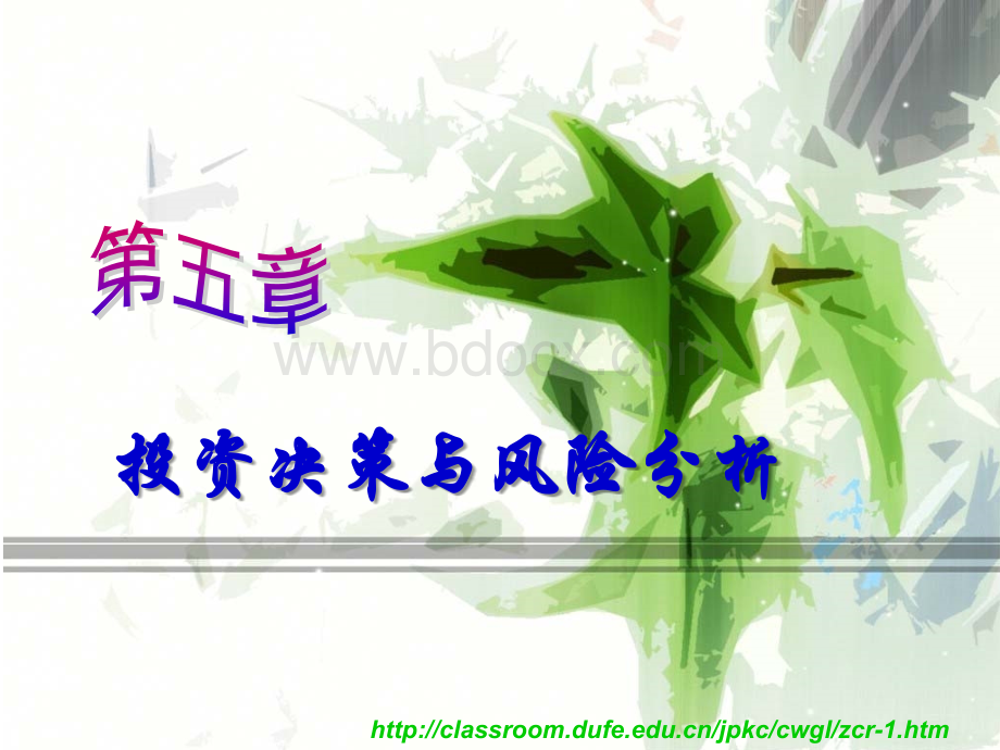 5-投资决策与风险分析(新).ppt