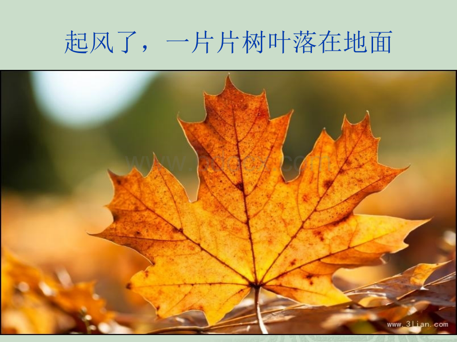 树叶贴画教程.ppt