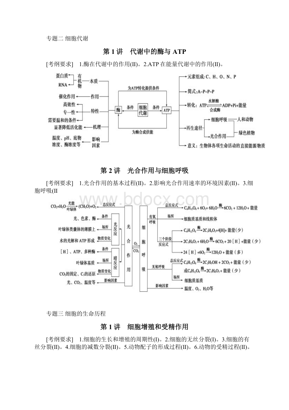 高考生物二轮专题复习讲义超强Word下载.docx_第2页