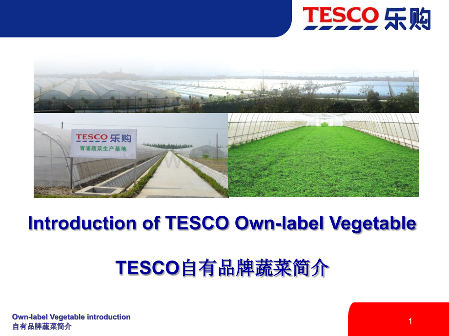 TESCO乐购PPT格式课件下载.ppt