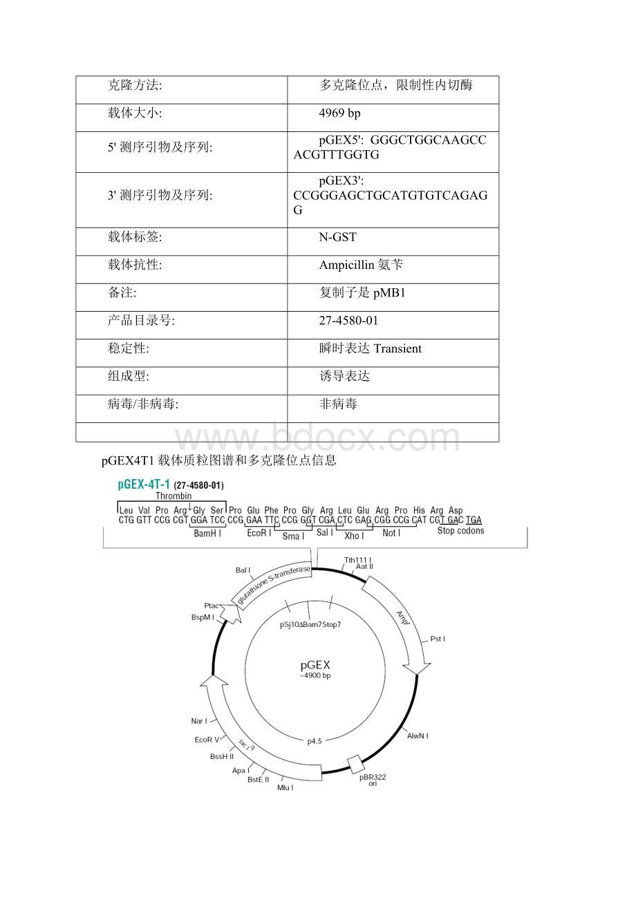 常用pGEX载体图谱.docx_第2页