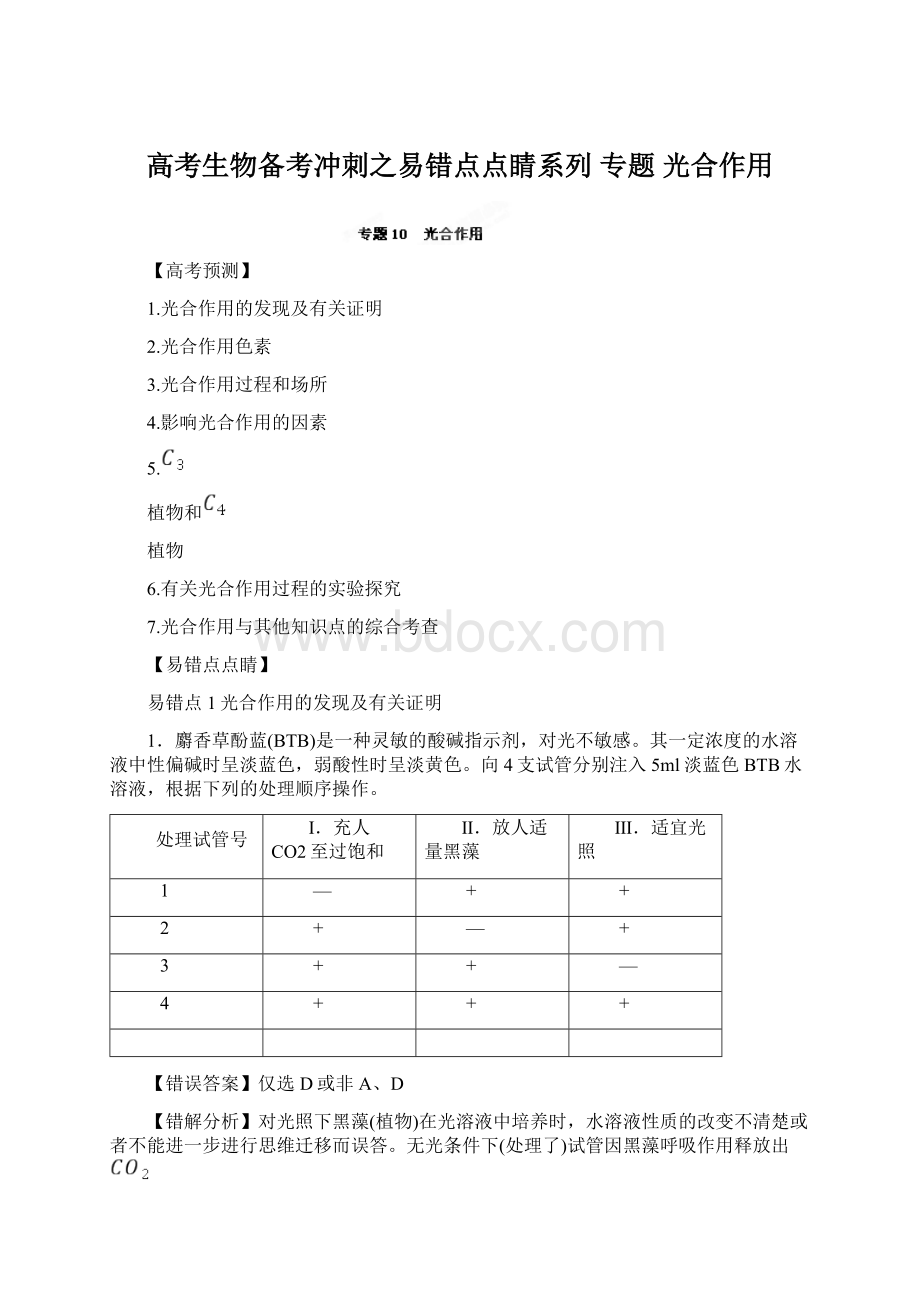 高考生物备考冲刺之易错点点睛系列 专题 光合作用文档格式.docx