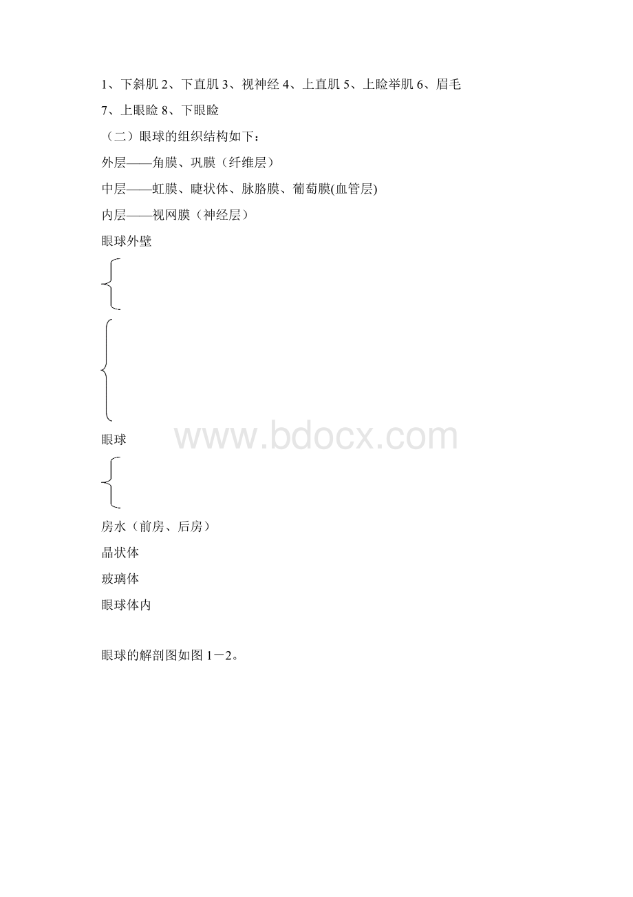 眼科学基础知识.docx_第2页