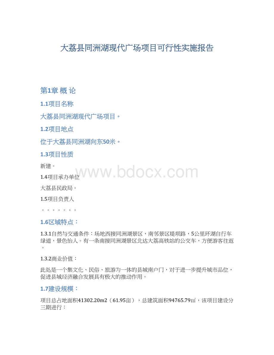 大荔县同洲湖现代广场项目可行性实施报告Word格式文档下载.docx_第1页