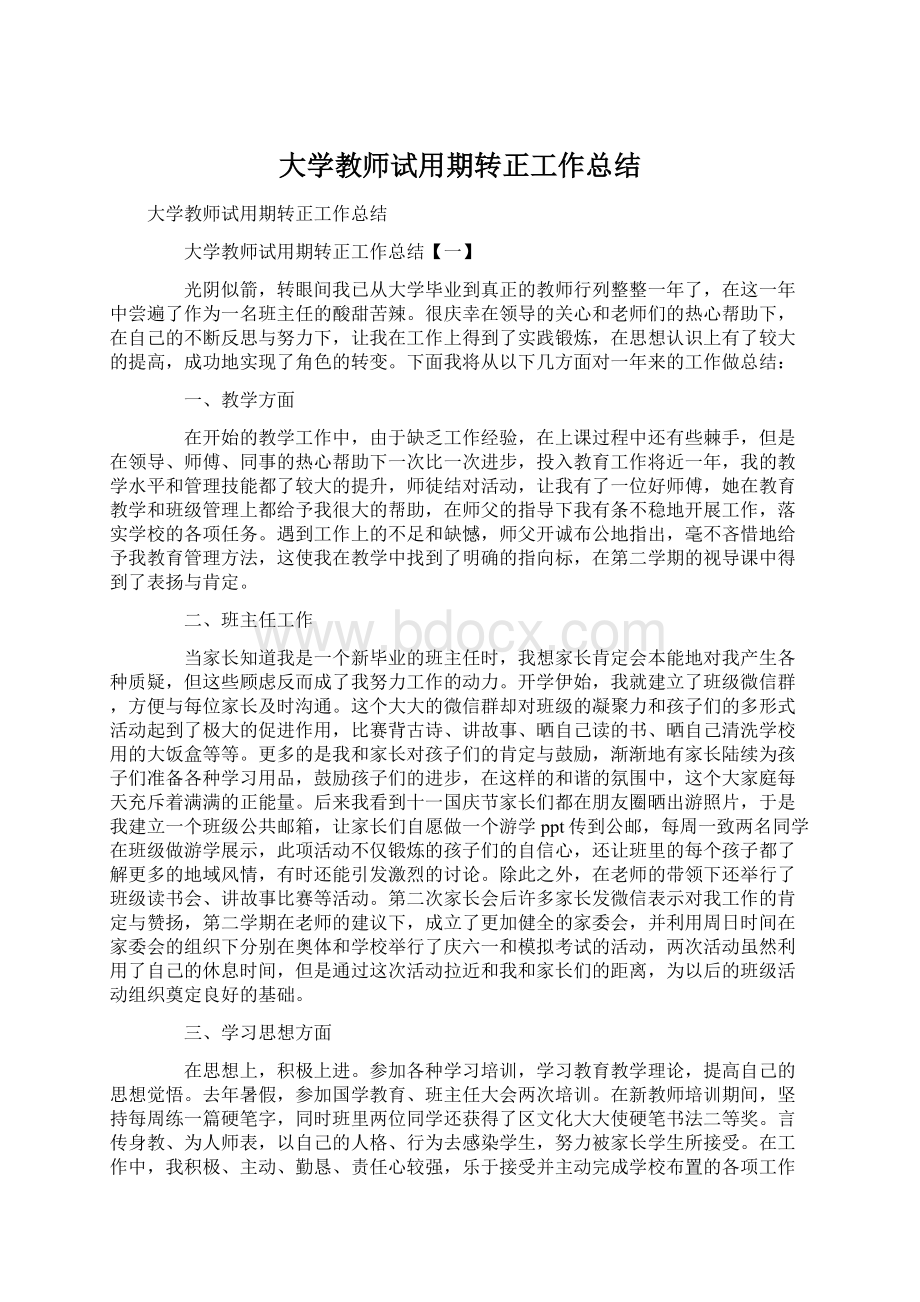 大学教师试用期转正工作总结.docx