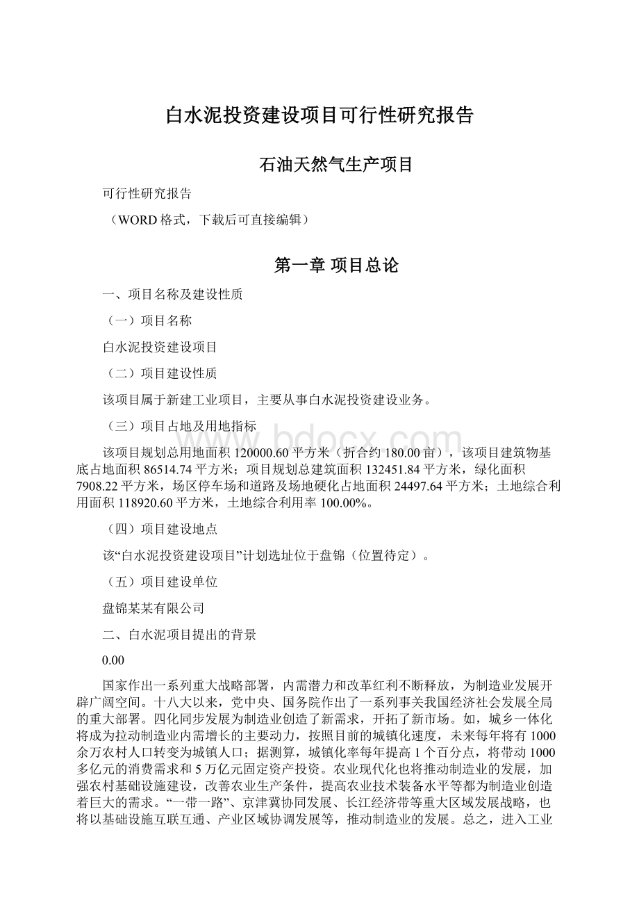 白水泥投资建设项目可行性研究报告Word下载.docx