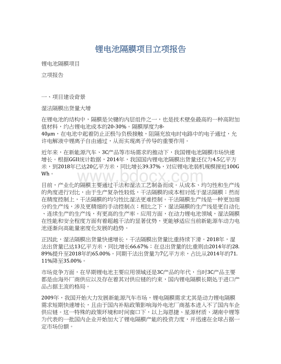 锂电池隔膜项目立项报告Word文档下载推荐.docx