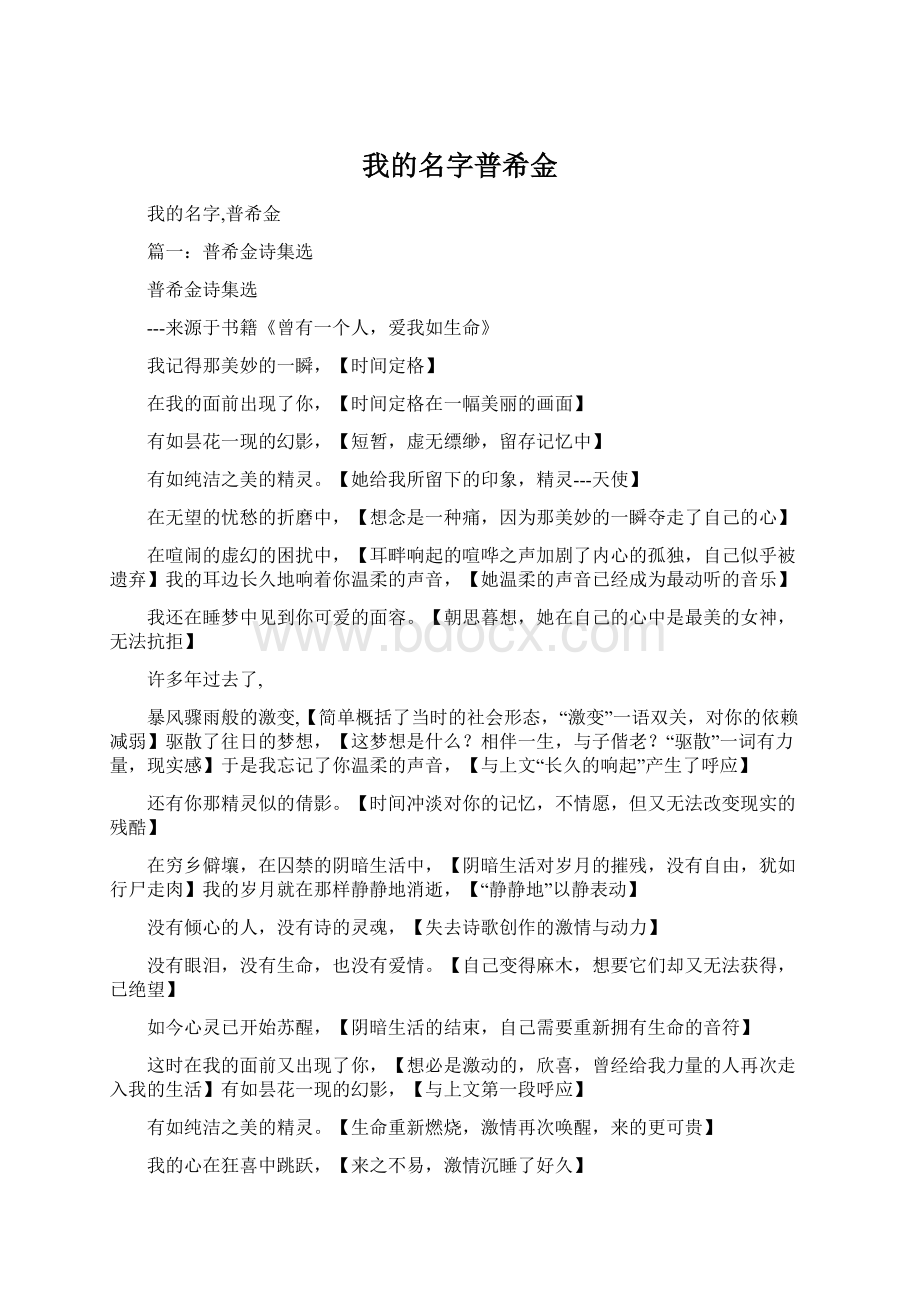 我的名字普希金Word文档格式.docx