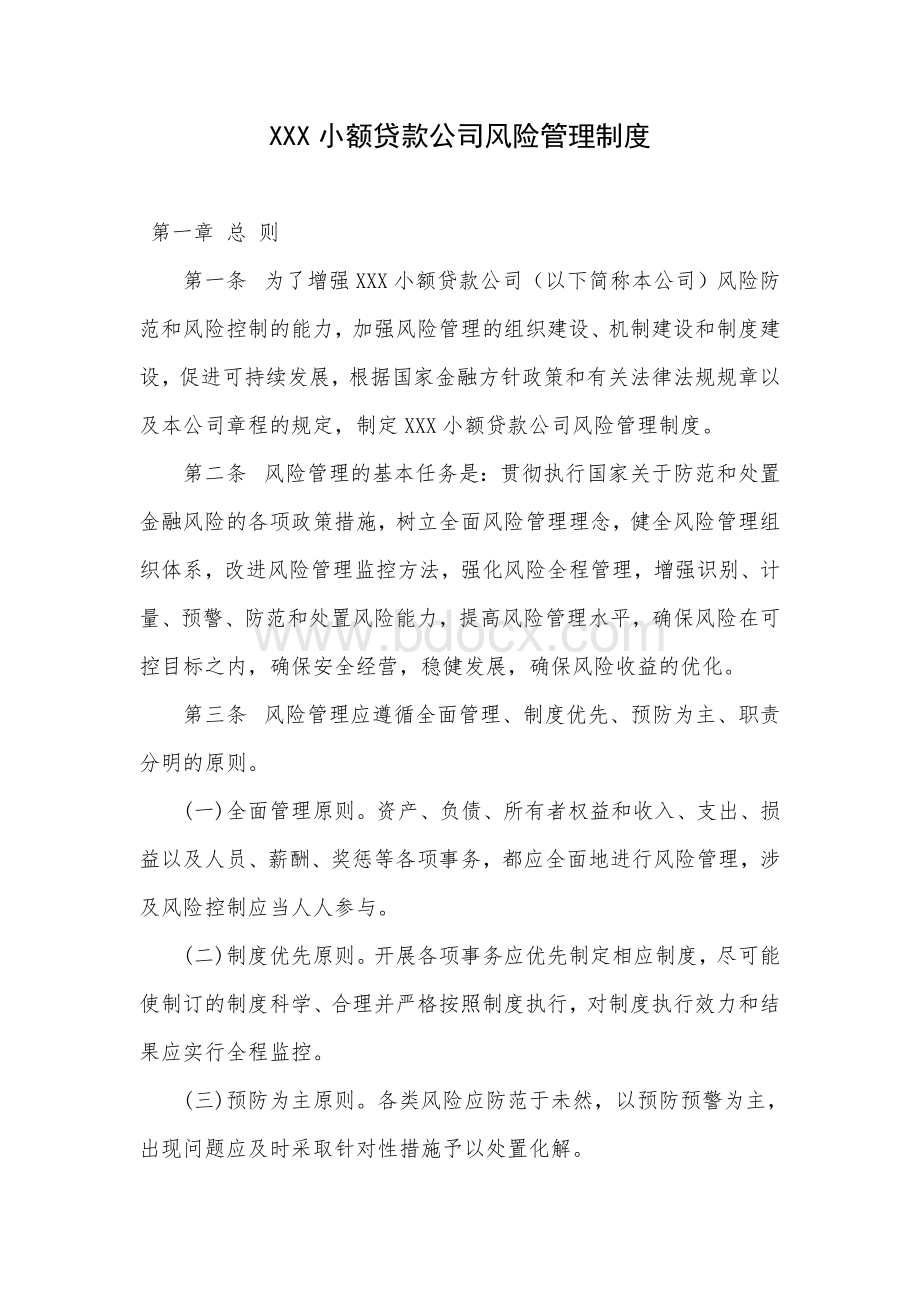 xxx小额贷款公司风险管理制度Word文档下载推荐.doc