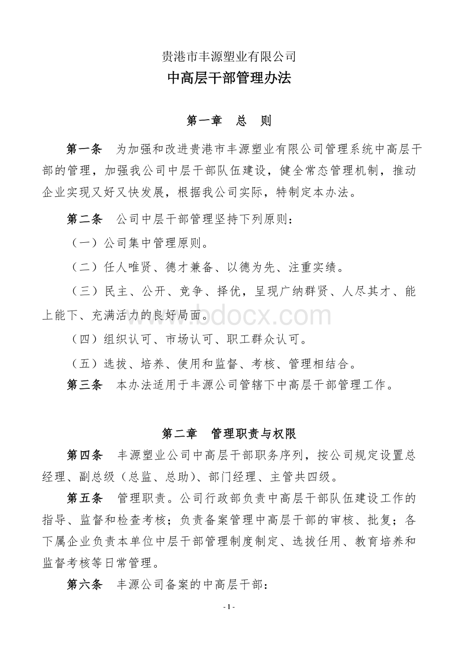 企业中层干部管理办法.doc_第1页