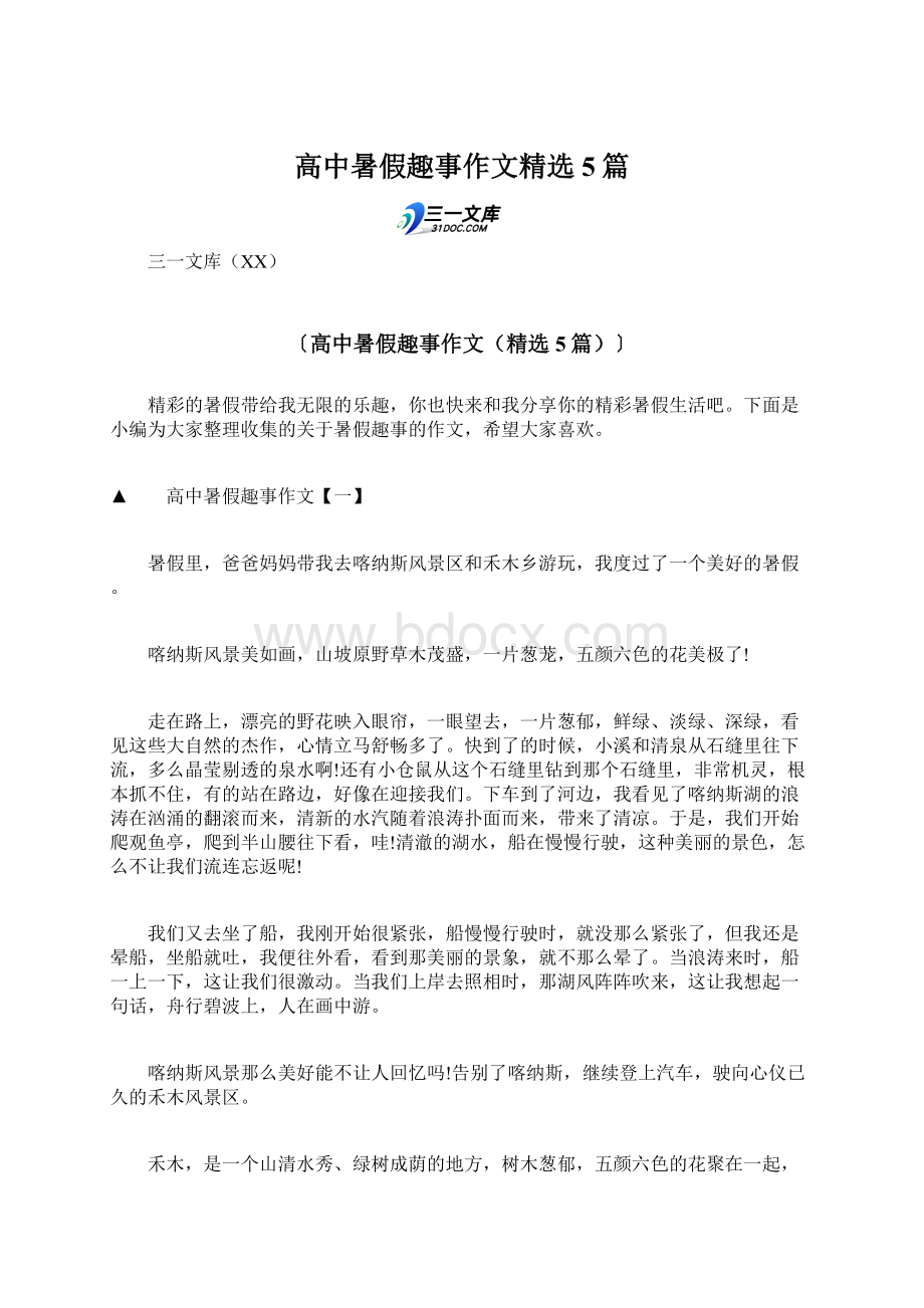 高中暑假趣事作文精选5篇文档格式.docx