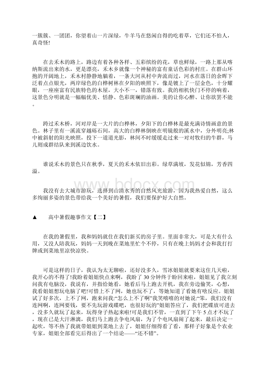 高中暑假趣事作文精选5篇文档格式.docx_第2页