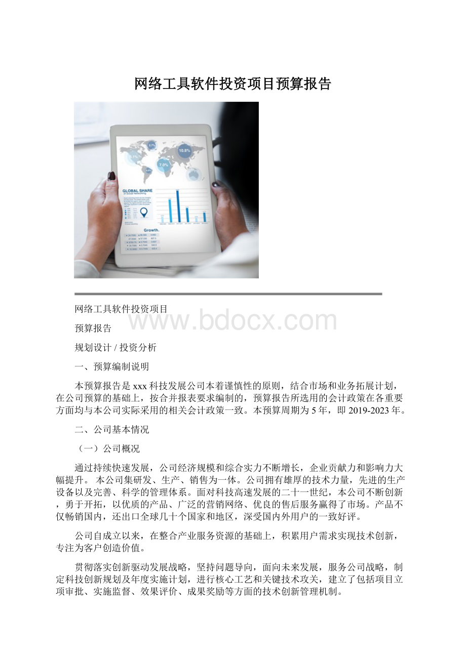 网络工具软件投资项目预算报告.docx_第1页