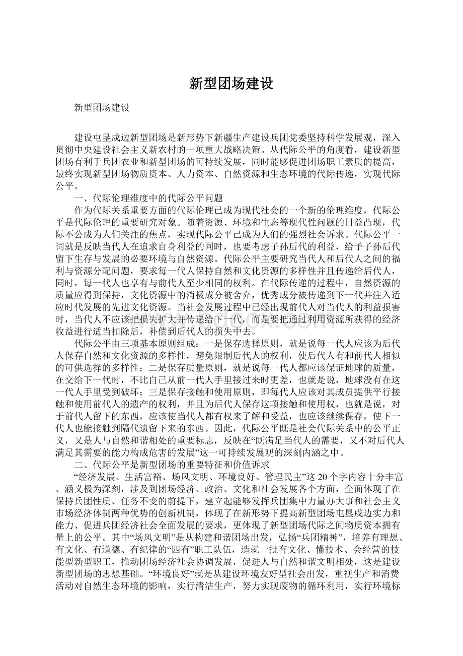 新型团场建设Word格式.docx