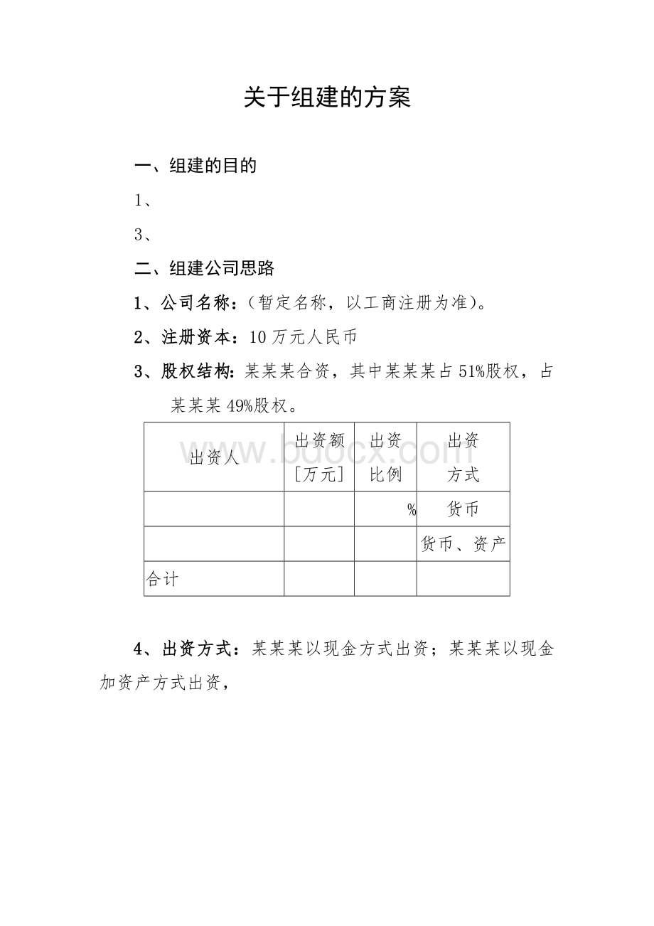 公司组建方案.doc