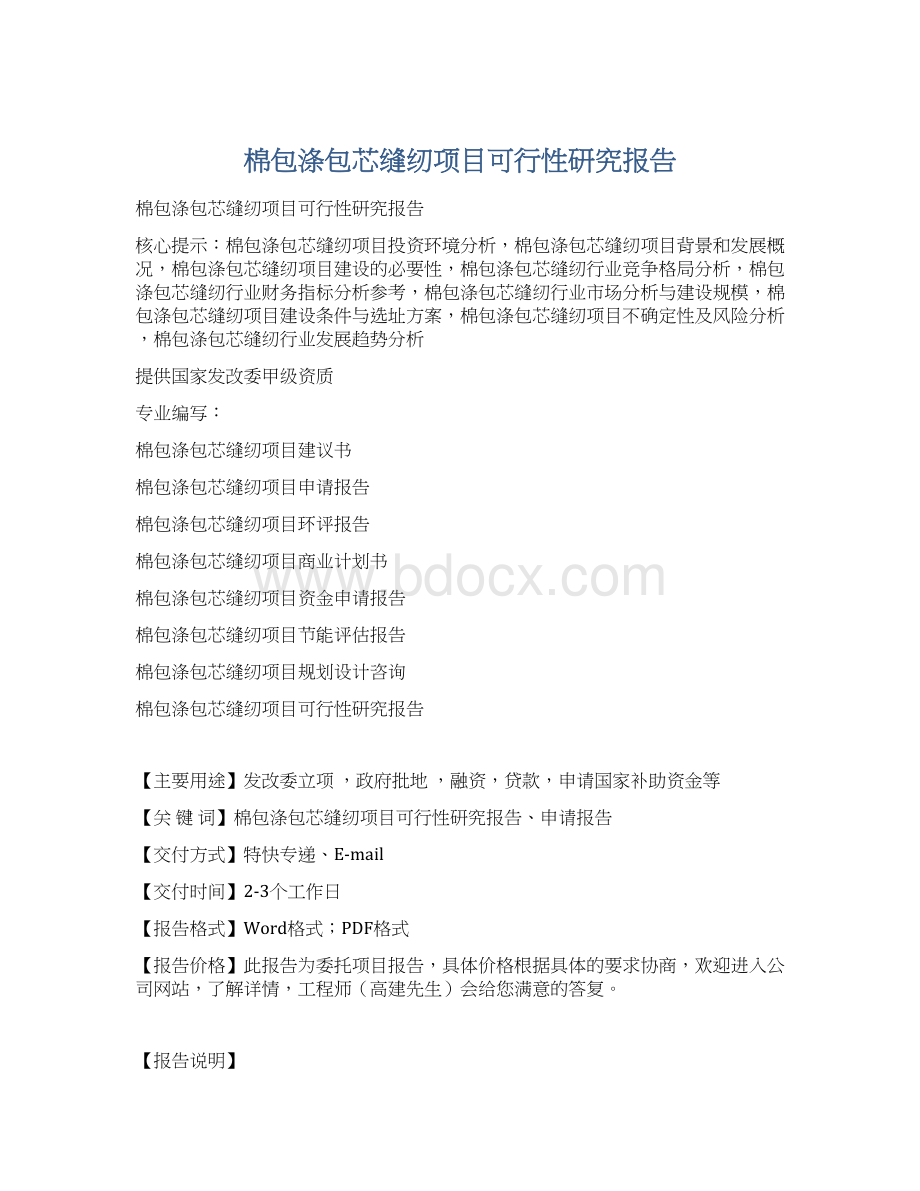 棉包涤包芯缝纫项目可行性研究报告Word格式文档下载.docx_第1页