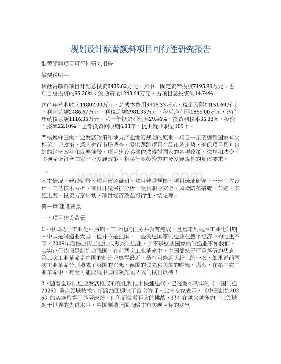 规划设计酞菁颜料项目可行性研究报告Word格式.docx