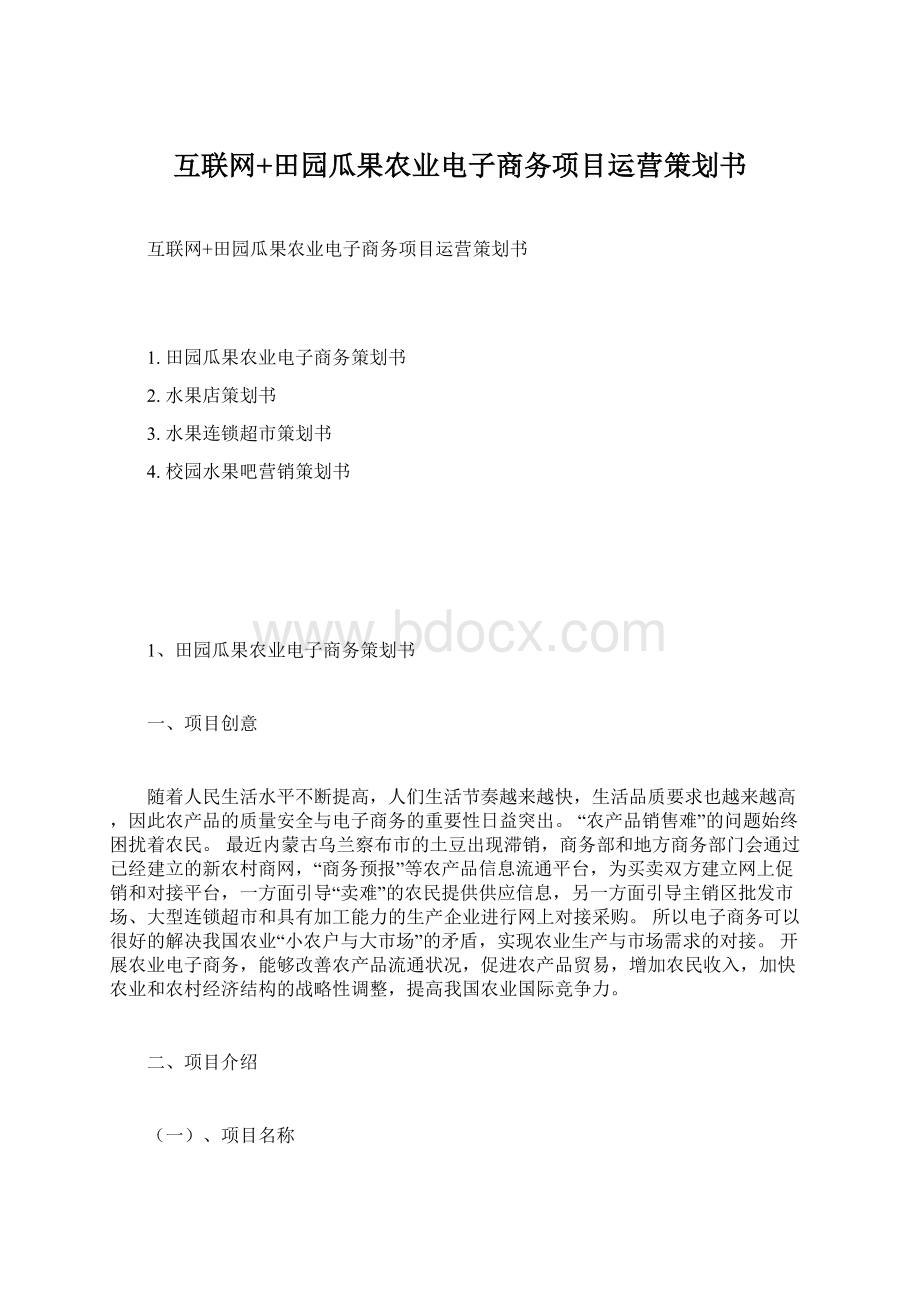 互联网+田园瓜果农业电子商务项目运营策划书.docx