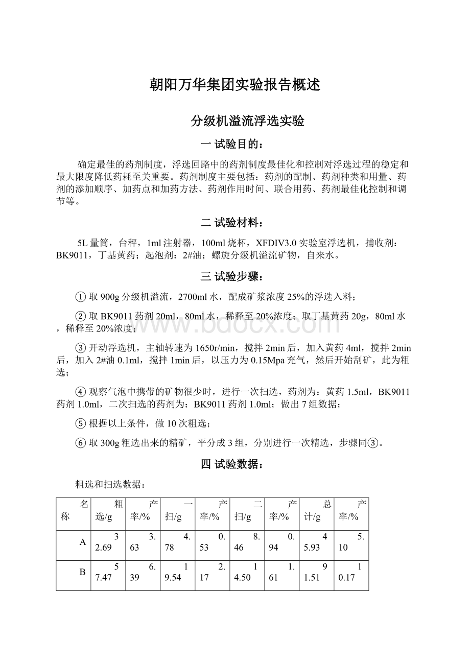 朝阳万华集团实验报告概述Word格式文档下载.docx