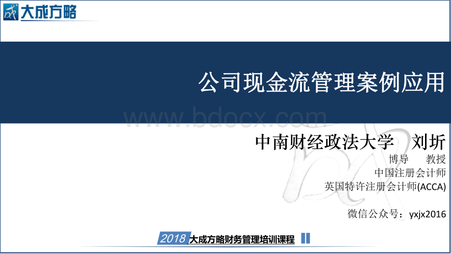 公司现金流管理案例应用.pdf