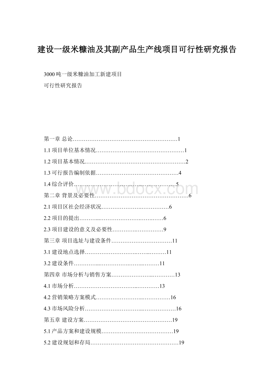 建设一级米糠油及其副产品生产线项目可行性研究报告.docx