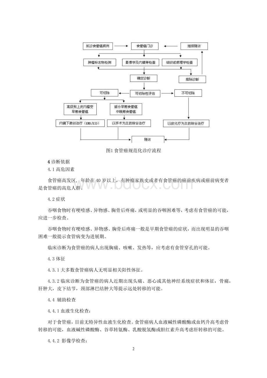 食管癌诊治指南_精品文档.docx_第2页